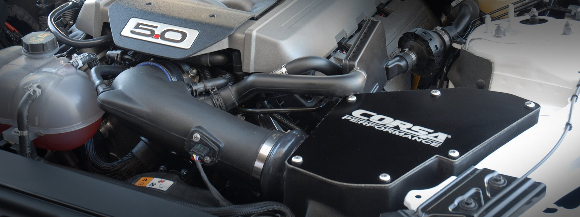 2015-17 Mustang GT 5.0L (Air Intake)