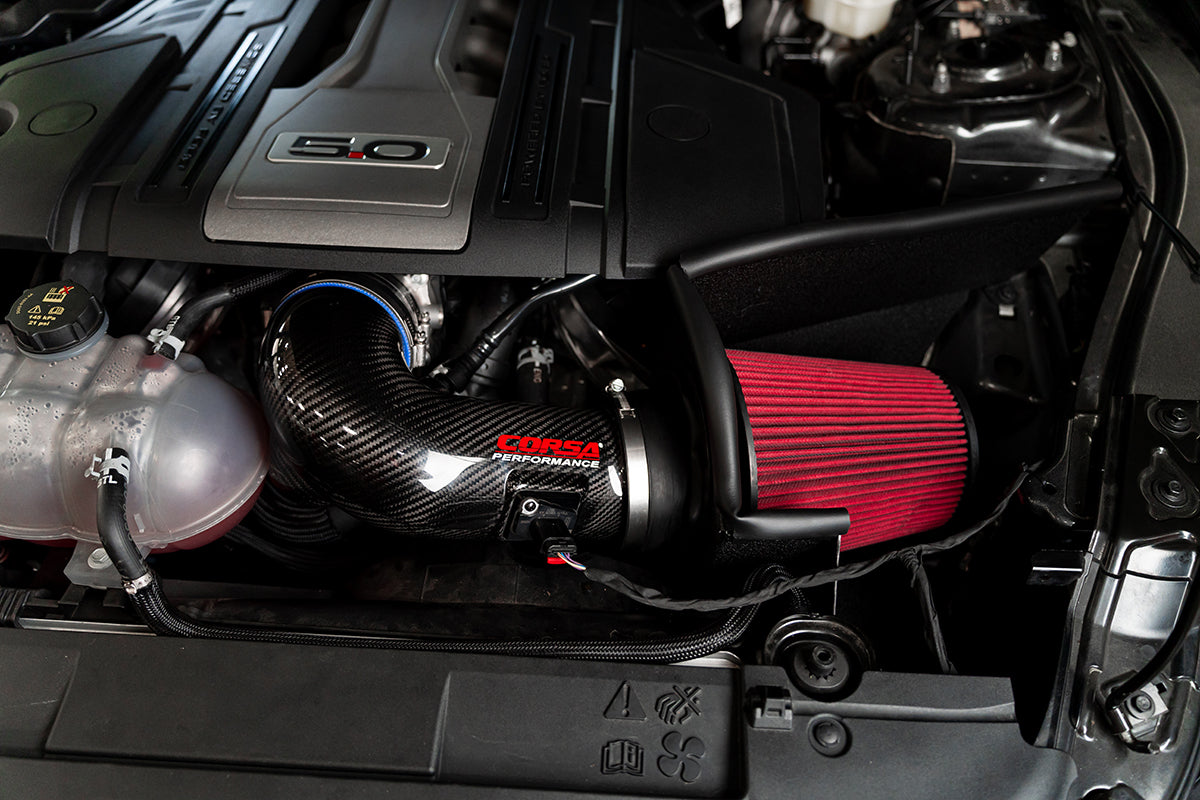 Black, Forged / Carbon Fiber Air Intake | 2018-2023 Ford Mustang GT 5.0L V8 (44006)